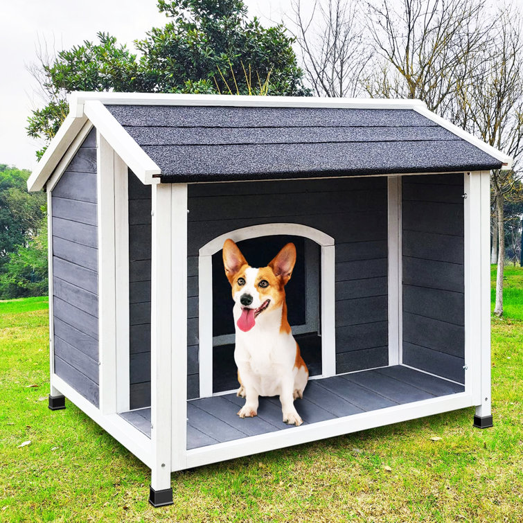 Timber hotsell dog house